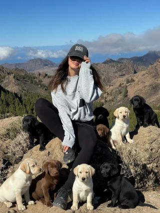 Povedal tu niekto #dogmom? 😍 #lilos #doglovers #psickari #psialaska #ai