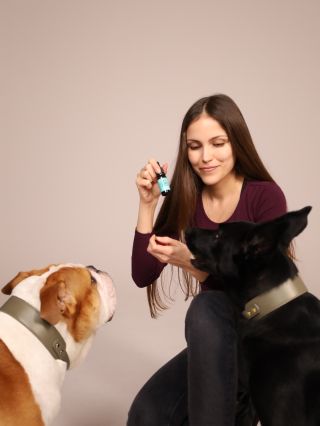 🎉Silvester je pre väčšinu psov najťažšia noc v roku, preto sa na ňu pripravujeme vopred. Nám sa dlhodobo osvedčilo pár...