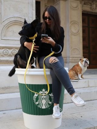 Dog walk, but make it fashion. 🐕 👉Dizajnové handsfree vodítka kúpiš na www.lilos.sk LINK V BIO #lilos #dogwalk #psickari